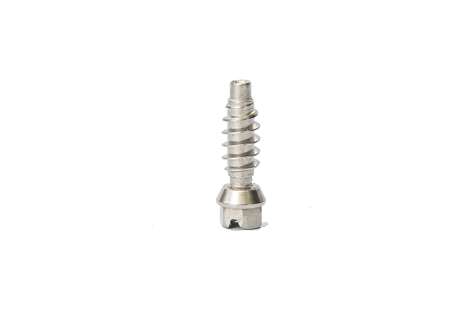 Hose Clamp Screw